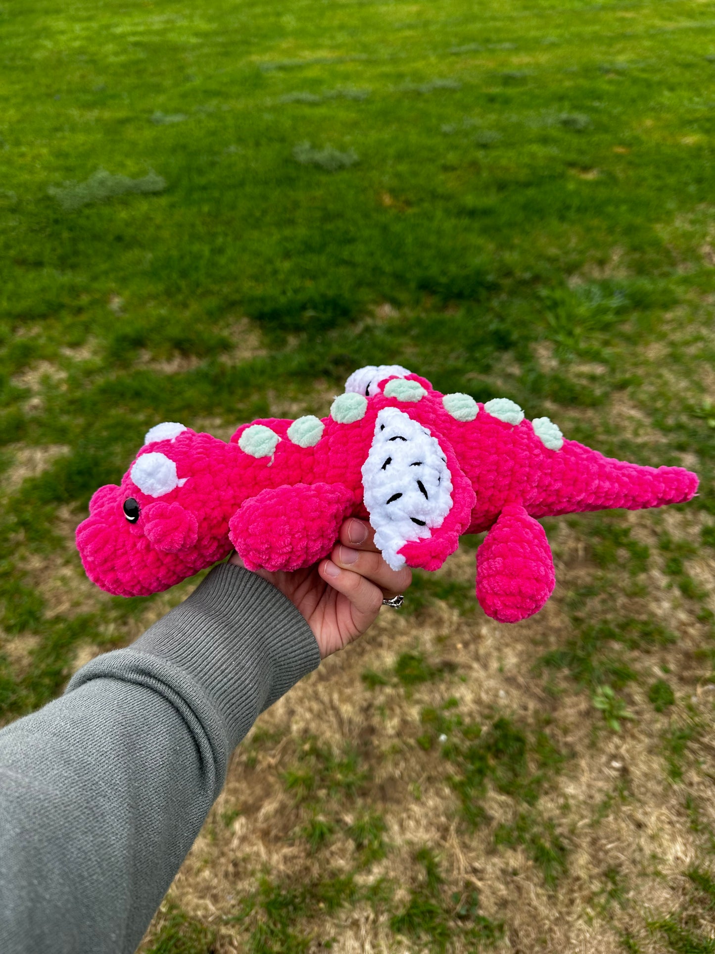 Dragonfruit Dragon