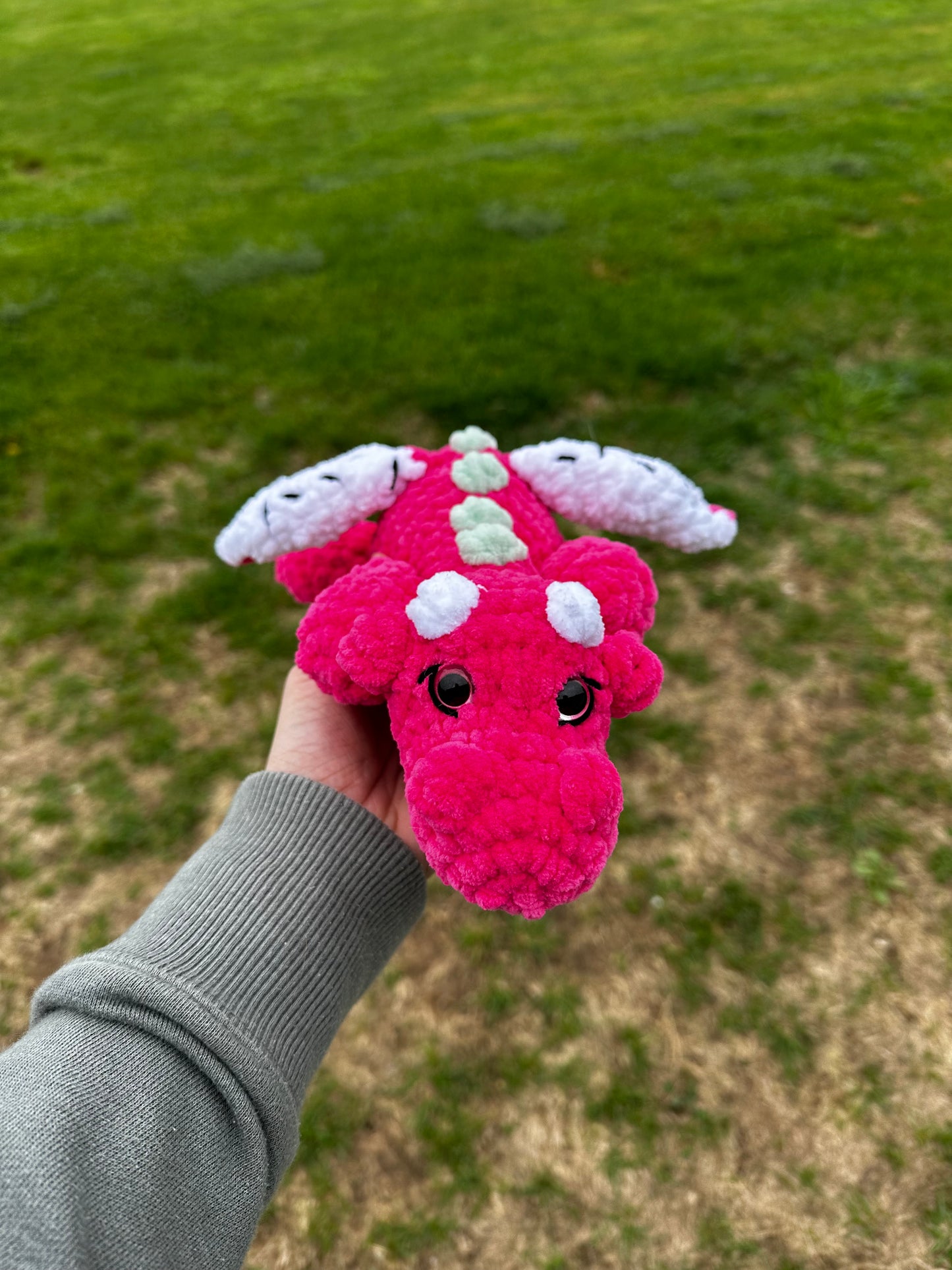 Dragonfruit Dragon